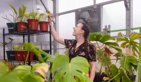 Michelle Spicer happily examines a plant in a greenhouse with many potted plants.