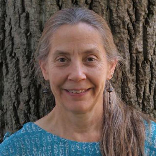 Ann Meltzer, professor of earth and environmental sciences at Lehigh University