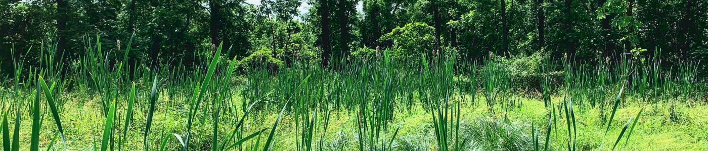 Environmental background image